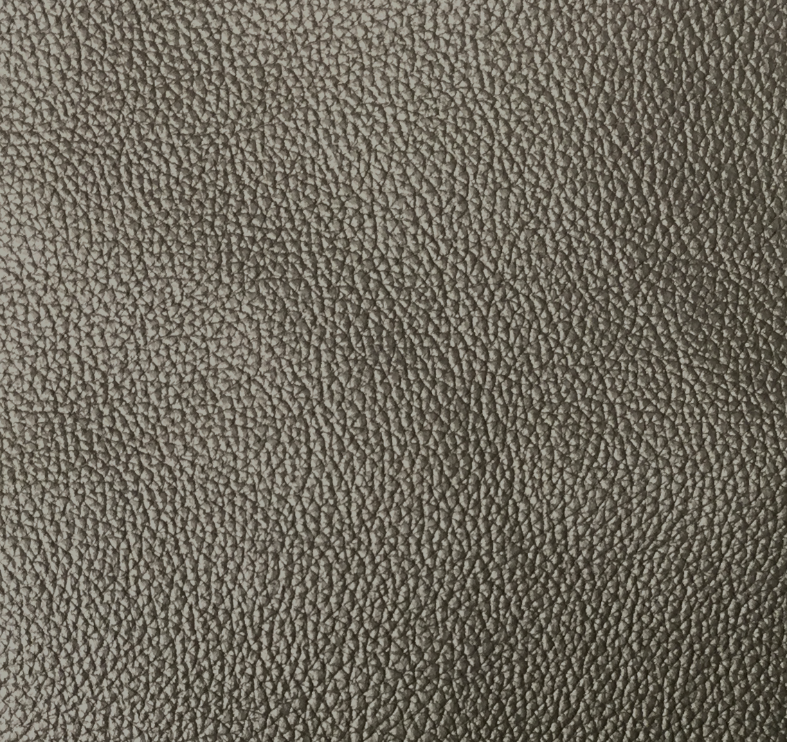 Gold PPM Leather